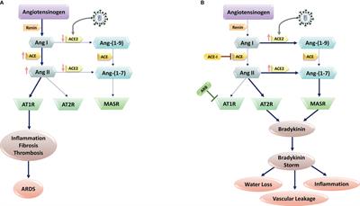 Corona Virus Disease 2019 (COVID-19) as a System-Level Infectious Disease With Distinct Sex Disparities